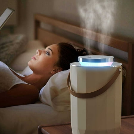 

Teissuly New Luxury Spray Humidifier Large Capacity Home Bedroom Office Ambient Light Sprayer Wholesale