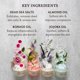 thumbnail image 4 of Exfoliante corporal Sabon Green Rose con sal del Mar Muerto 625 ml, 4 of 6