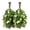 Birch and Jasmine, variant on Stp Goods Birch and Sage Sauna Whisk Set of 2 Aroma Banya Venik for Massage Sauna Accessories Sauna Whisk Set Bath Brooms