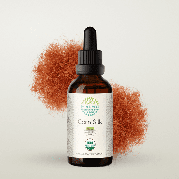 HerbEra Corn Silk Tincture, Organic Herbal Dietary Supplement for Urinary Support, Certified Organic Corn Silk (Zea mays) Dried Silk Extract, Natural, Alcohol-Free, Drops 2 oz