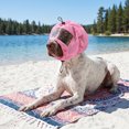 thumbnail image 6 of Transparent Dog Bath Cap – Waterproof Ear Protector for Swimming & Shower, Adjustable Elastic Fit Keeps Ears Dry, Soft Comfort Head Cover for Small to Large Breeds, 6 of 6