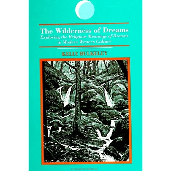 Suny Dream Studies The Wilderness of Dreams: Exploring the Religious Meanings of Dreams in Modern Western Culture, (Paperback)