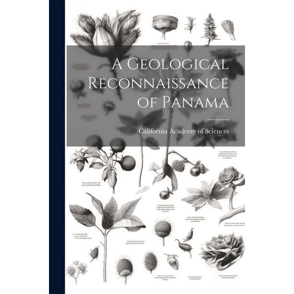 A Geological Reconnaissance of Panama (Paperback)