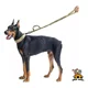 thumbnail image 3 of Correa Táctica Elástica, Con 2 Asas Entrenamiento P/perros, 3 of 5