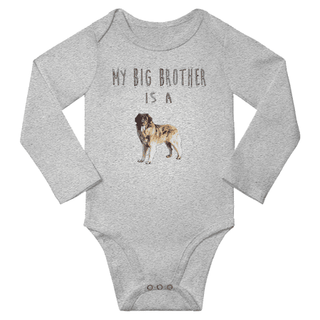 

My Big Brother is a Leonberger Dog Cute Baby Long Sleeve Clothing Bodysuits Boy Girl (Gray 0-6M)