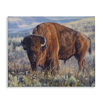 Stupell Industries Prairie King Bison Landscape Photography Gallery Wrapped Canvas Art Print Wall Art, 40 x 30