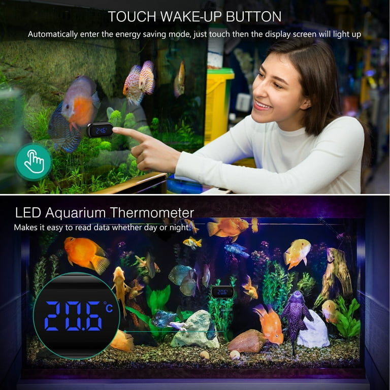 Digital fish tank online