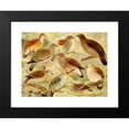thumbnail image 2 of Emil August Göldi 24x19 Black Modern Framed Museum Art Print Titled - Doves (1900-1906), 2 of 5