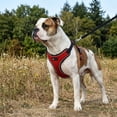 thumbnail image 3 of PlacerMe Dog Reflective Mesh Collar Harness Leash Adjustable-Travel Walk Strap No Pull No Tug, 3 of 14