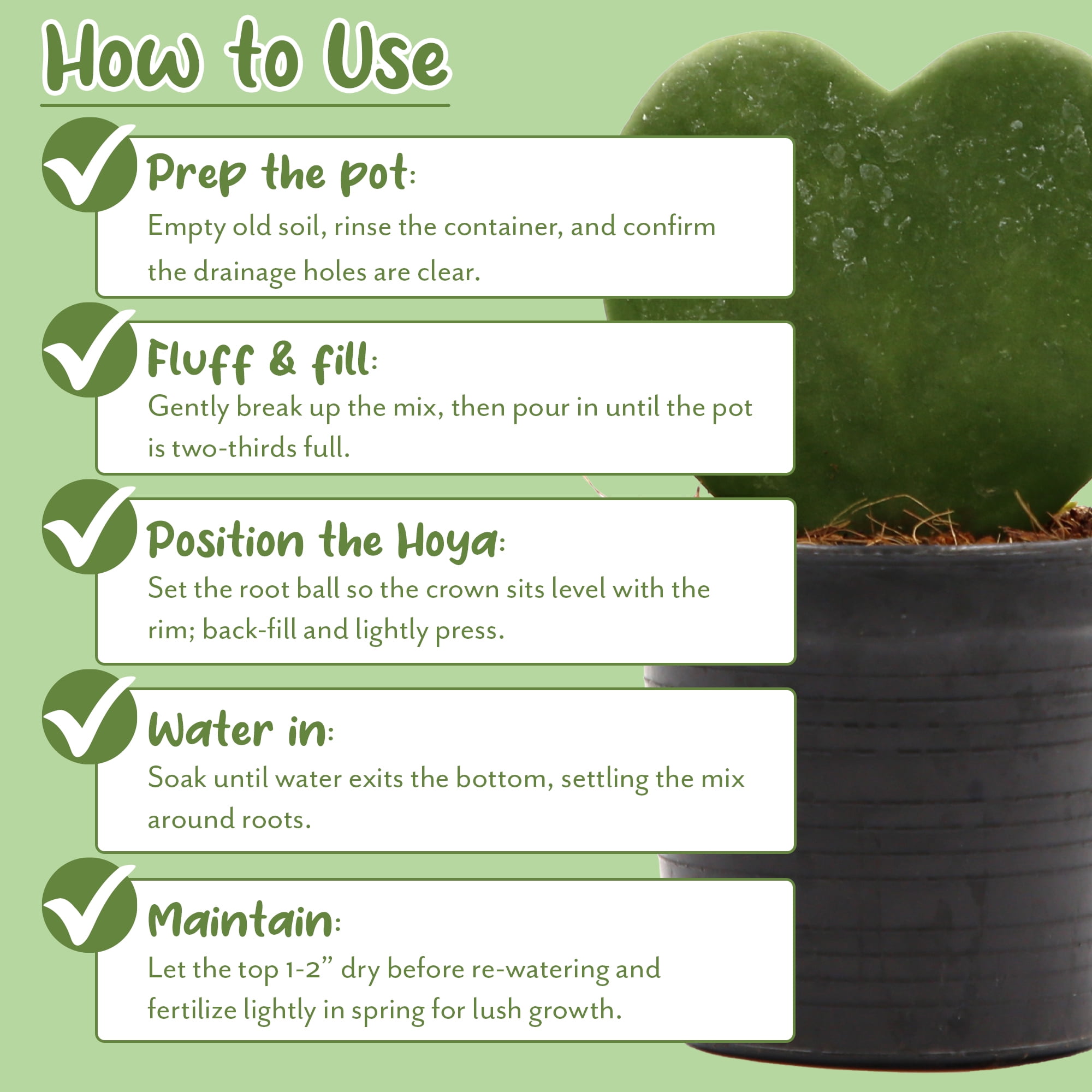 Hoya Plant Potting Soil Mix (8 Quarts), Custom Blend for Growing Hoya Tropical Houseplants
