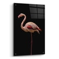 thumbnail image 2 of Epic Art 'Flamingo' by Incado, Acrylic Glass Wall Art, 24"x36", 2 of 8