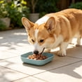 thumbnail image 5 of NWQKYZGH 1PCS Square Pet Food Plates Shallow Wide Design Easy To Clean Snack Feeding Bowl for Dry Food Wet Food Treats for Small Mediums and s -5.71x5.71in, 5 of 6