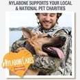 thumbnail image 7 of Nylabone Natural Healthy Edibles Puppy Turkey and Sweet Potato Puppy Chew Treats Regular, 7 of 7