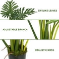thumbnail image 4 of PARMPH 3 ft Artificial Philodendron Tree in Plastic Pot, 4 of 8