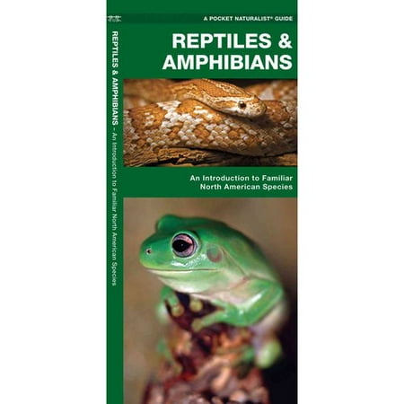 Reptiles and Amphibians: A Folding Pocket Guide to Familiar North American Species