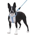 thumbnail image 1 of Mascretta Correa y Pechera para Perro Minimalista Mascretta  Pechera y Correa para Perro, 1 of 8