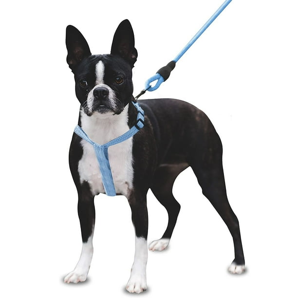 Mascretta Correa y Pechera para Perro Minimalista Mascretta Pechera y Correa para Perro