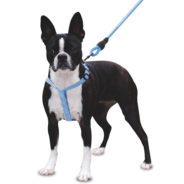 Mascretta Correa y Pechera para Perro Minimalista Mascretta Pechera y Correa para Perro