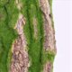 thumbnail image 4 of 2X Simulación de Corteza de árbol Decoración de Alcantarillado del Hogar Corteza de árbol Falso Verde Decoración de Boda Pared de Hierba Plantas Artificiales-B, 4 of 8