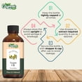 thumbnail image 3 of Aceite de Argán Zing Orgánico Puro y Natural para Cuidado de Piel, Rostro y Cabello 30ml, 3 of 8