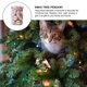 thumbnail image 4 of Bolas de adorno de árbol de Navidad-Bola de Navidad decorada con purpurina Zhivalor CPB-CJZ393-5, 4 of 5