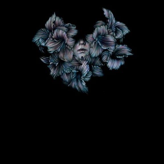 A Lot Like Birds - Divisi - Music & Performance - CD