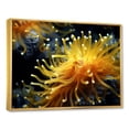 thumbnail image 2 of Designart "Colorful Underwater Coral Flora II" Coastal Coral Under Water Floater Framed Canvas Art Print, 2 of 5