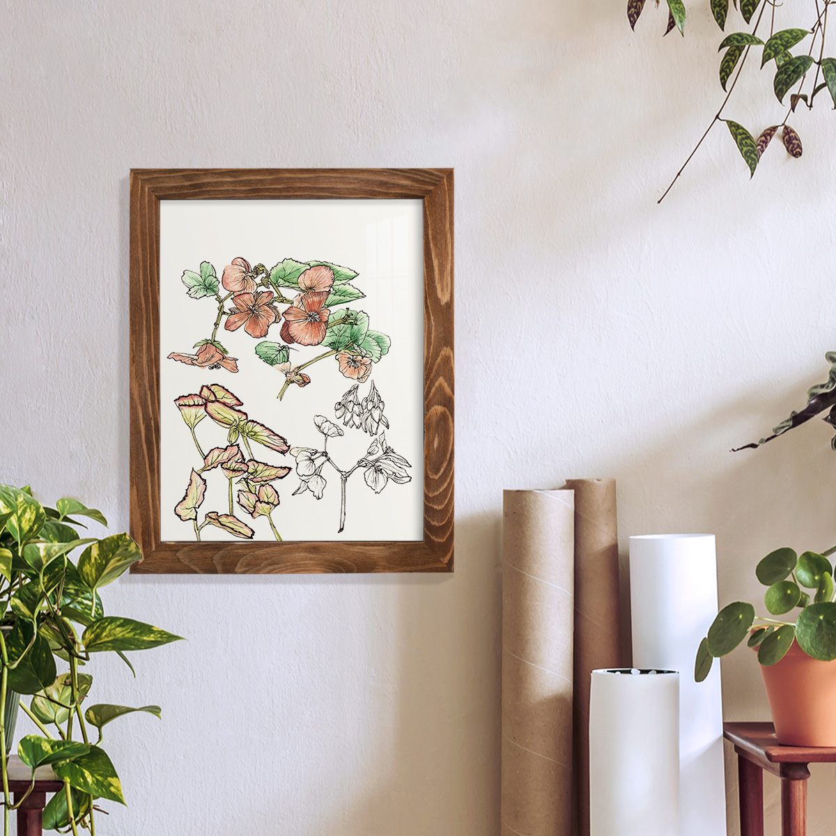Begonia Study -Framed Print w/glass-Walnut