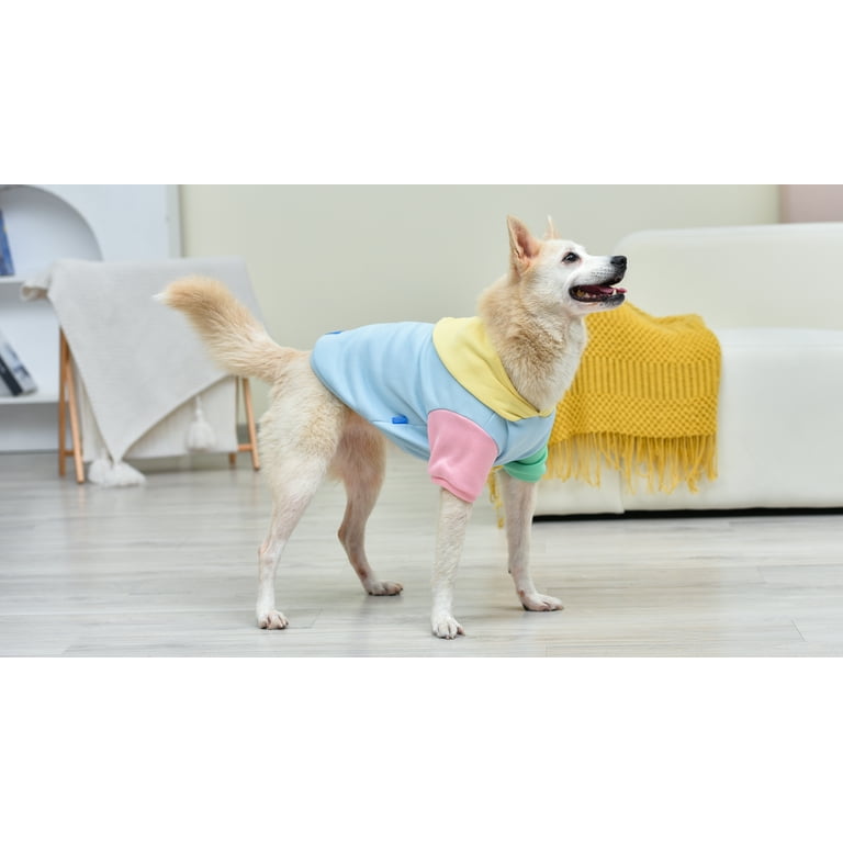 The Dodo Pastel Colorblock Dog Hoodie Medium Walmart