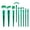 Green, variant on UNLLLL 9 Piece Handle Makeup Brush Set, Crocodile Texture Grip, Powder Blush Eye Shadow Brushes, Multi Functional Face Kit, for Daily and Party Makeup (Green)