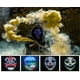 thumbnail image 2 of Máscara LED con aplicación programable Bluetooth, máscara facial con luz LED brillante para fiesta de disfraces de Halloween para niños adultos, 2 of 5