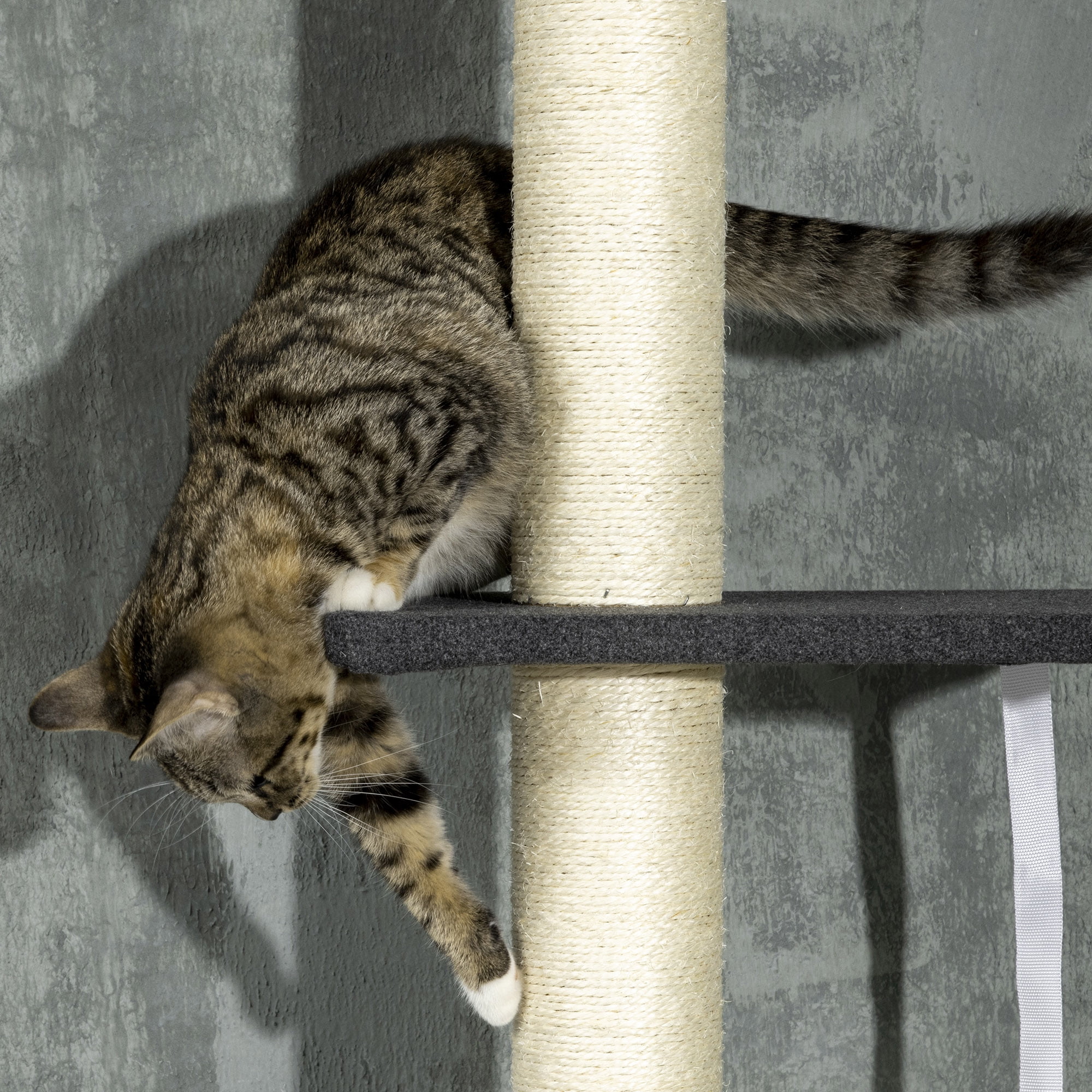 PawHut Floor To Ceiling Cat Tree, 5-Tier Cat Climbing Tower, 95''-106'' Height Adjustable with Carpeted Platforms, Cozy Bed, Hammock, Scratching Post & Toy Ball for Indoor Cats, Black and Cream