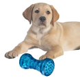 thumbnail image 1 of Juguete para perros Colco Juguetes chirriantes Masticable interactivo de animales 12x5cm, 1 of 8