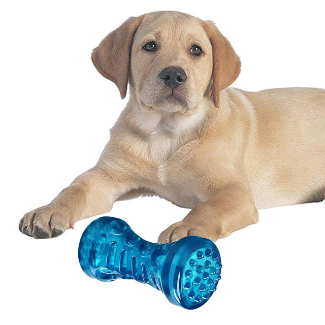 Juguete para perros Colco Juguetes chirriantes Masticable interactivo de animales 12x5cm