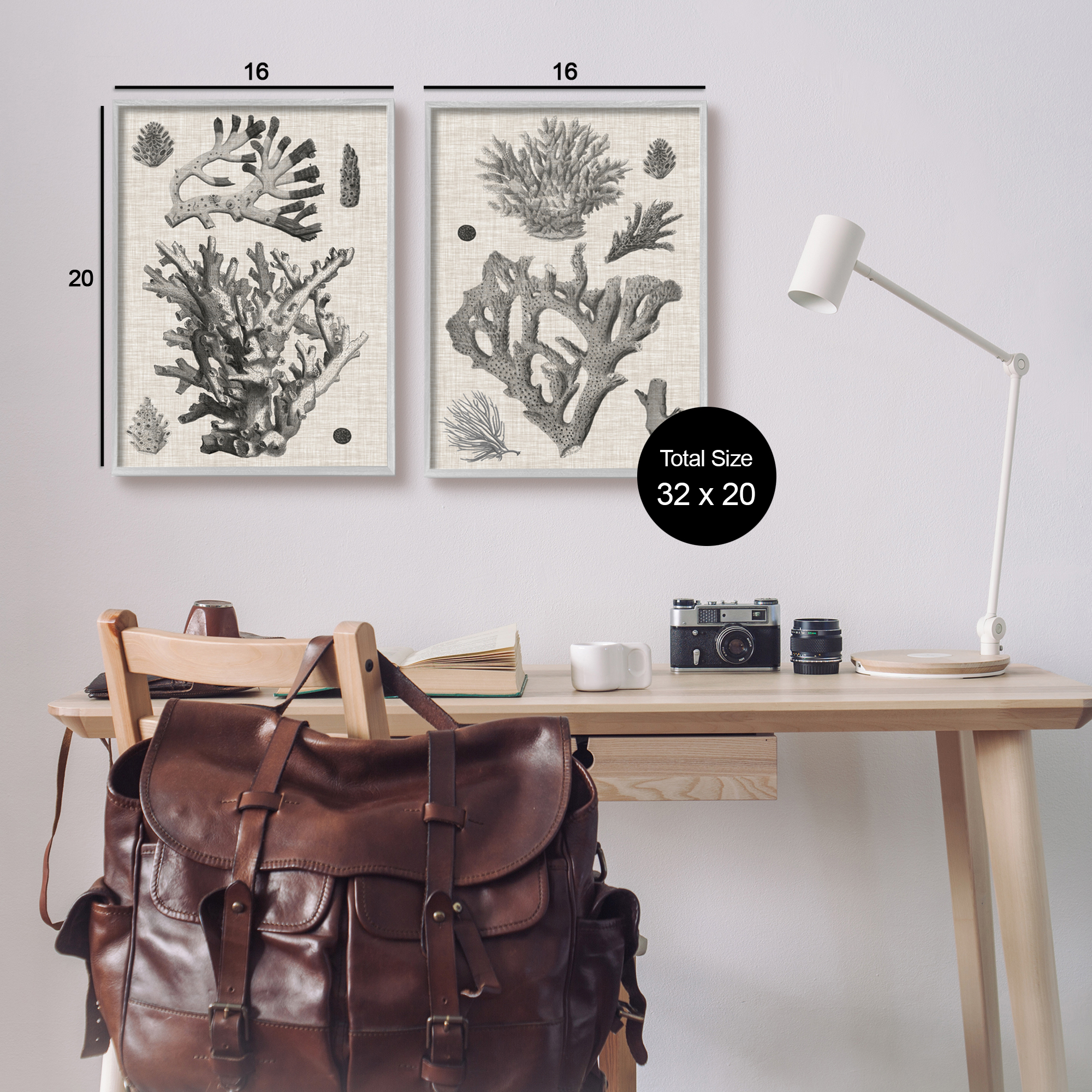 Stupell Industries Vintage Coral Study Animals & Insects Painting Gray Framed Art Print Wall Art, 16 x 20, Set of 2