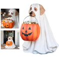 thumbnail image 4 of Halloween Para Perros Y Gatos Con Cuenco Para Dulces, Cuenco Para Aperitivos De Calabaza De Halloween, Soporte Para Truco O Trato, Decoraciones Para Interiores Y Exteriores Yuarrent HA039939-00, 4 of 6