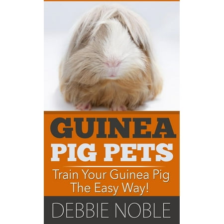 Guinea Pig Pets: Train Your Guinea Pig The Easy Way! - (Best Way To Pet A Guinea Pig)