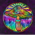 thumbnail image 2 of Dean Russo Collection 20x20 White Modern Wood Framed Museum Art Print Titled - Mushroom, 2 of 4