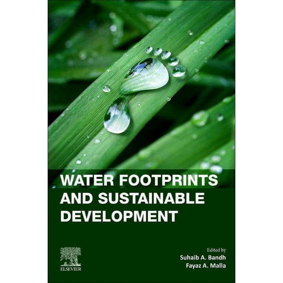Current Directions in Water Scarcity Res Water Footprints and Sustainable Development: Volume 8, Book 8, (Paperback)