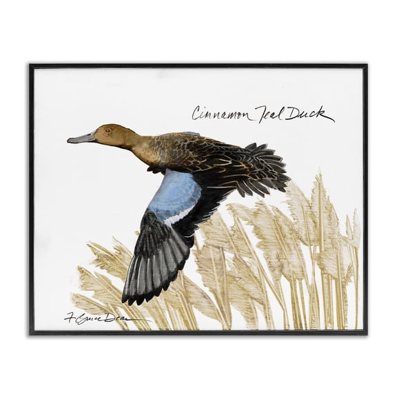 Stupell Industries Cinnamon Teal Duck Flying Animals & Insects Painting Black Framed Art Print Wall Art, 14 x 11