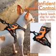 thumbnail image 4 of rabbitgoo Dog Harness  No-Pull Pet Harness with 2 Leash Clips  Adjustable Soft Padded Dog Vest  Reflective No-Choke Pet Oxford Vest with Easy Control Handle for Large Dogs Orange L, 4 of 9