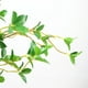 thumbnail image 5 of Bewildely 3 unids/set plantas simuladas para decoración del hogar elegante durabilidad duradera fácil de limpiar Decoración verde, 5 of 6