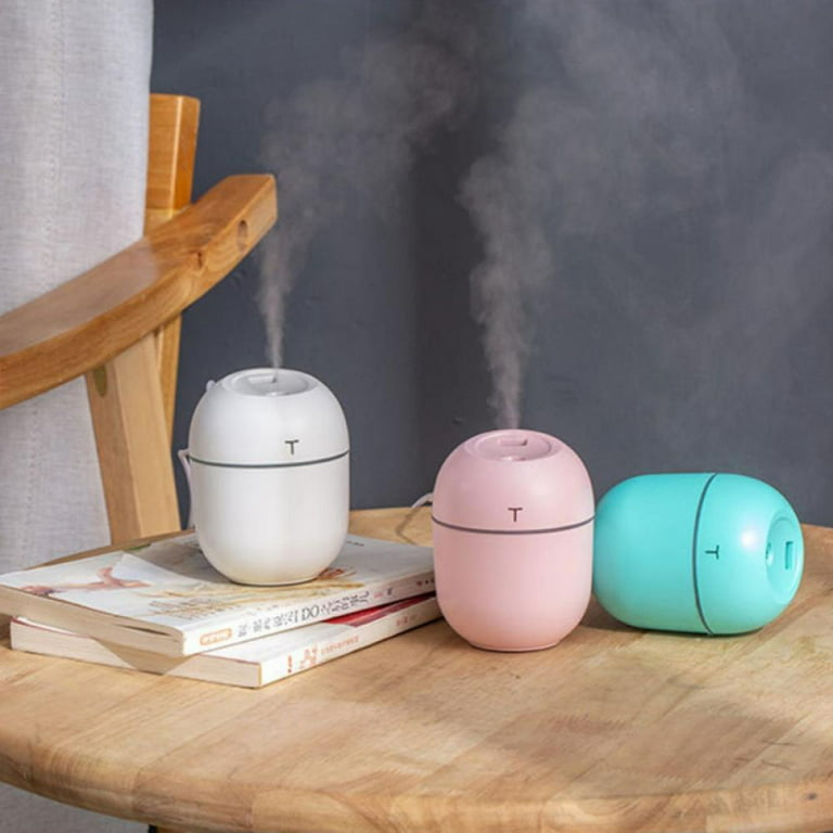 Geniani Portable Small Cool Mist Humidifiers - USB Desktop Humidifier for  Plants, Office, Car, Baby Room with Auto Shut-Off & Night Light - Quiet  Mini Humidifier 
