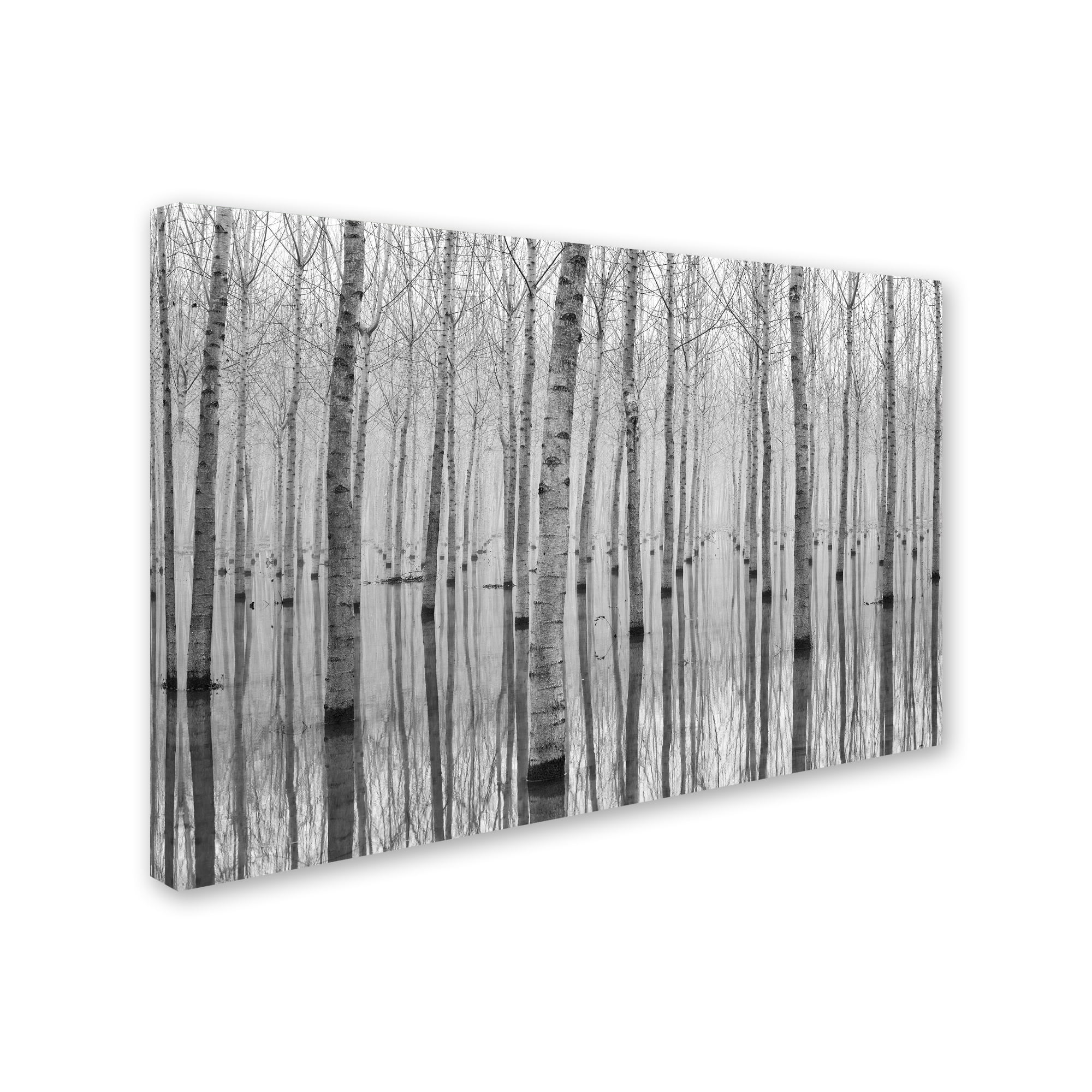 Trademark Fine Art 'Novembre 2014' Canvas Art by Aglioni Simone