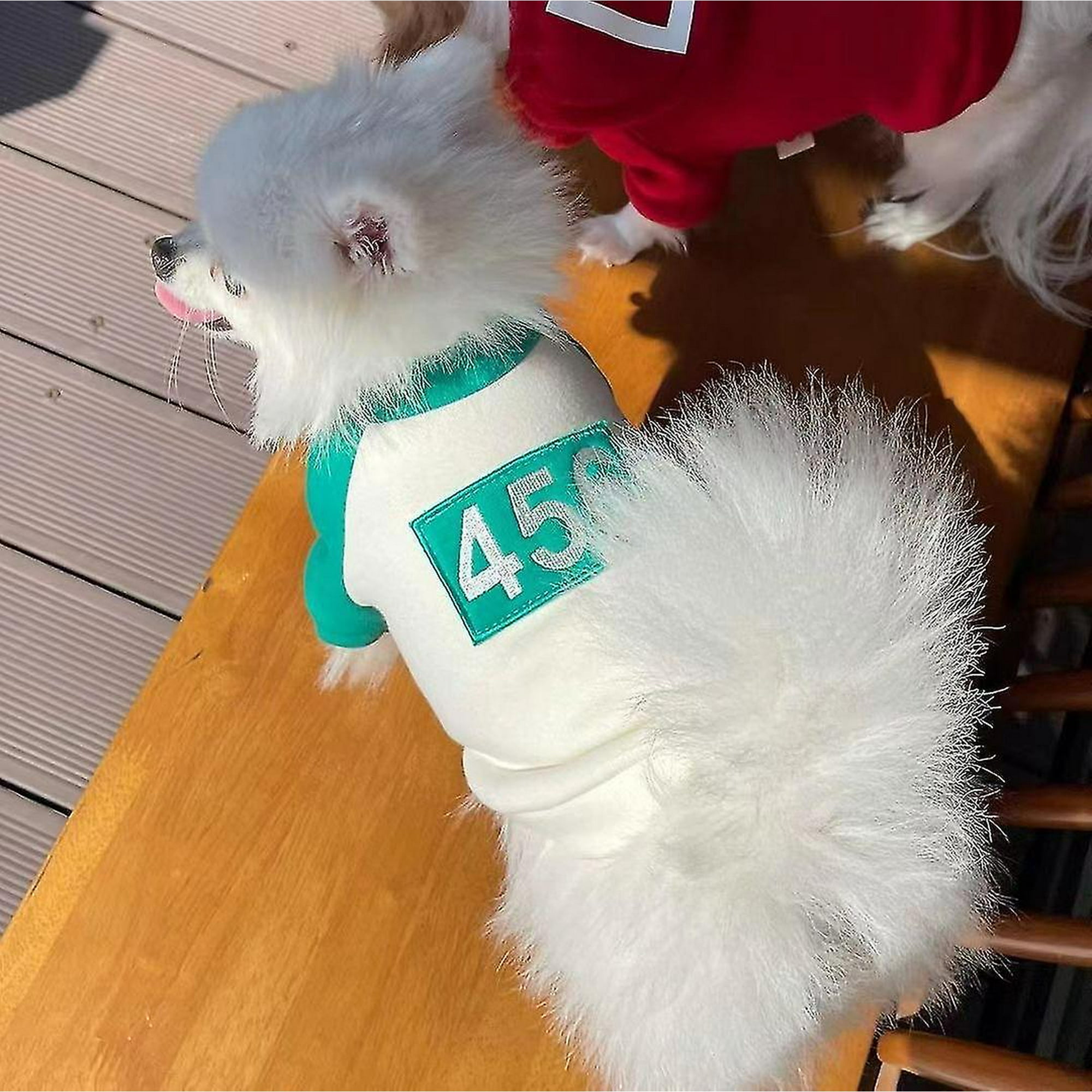 Pet Squid Game Cat Dog Hoodie Warm Costume Clothes | Walmart Canada