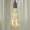 Melon, variant on LINLIN 2 Pack LED Edison Bulb,LED Decorative Firework Light Bulb LED Filament Bulb Decorative Light Bulb Globe E27 AC85-265V 2300K