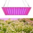thumbnail image 2 of Txmasen 45W Red Blue Full Spectrum 81 LEDs Grow Lamps Panel Grow for Succulents Hydroponic Greenhouse Indoor Plant Flower Vegetative Growth, 2 of 9
