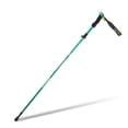 thumbnail image 2 of Naiovety Bastones de senderismo para caminar, bastones de senderismo portátiles para acampar, agarre antideslizante para absorber el sudor, muleta de Escalada Verde Kurz Naiovety OD003541-06, 2 of 6