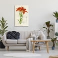 thumbnail image 3 of Stupell Industries Shabby Chic Western Red Lily Canvas Art, 24 x 36, by Print Collection, 3 of 8