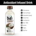 Bai Coconut Flavored Water, Molokai Coconut, Antioxidant Infused Drinks, 18 Fluid Ounce Bottles